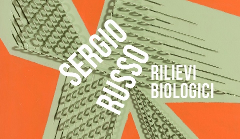 Sergio Russo - Rilievi biologici